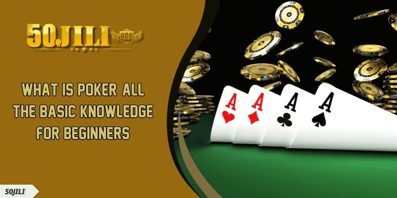 What is Poker All the Basic Knowledge for Beginners