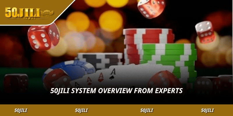 WW5 System Overview from Experts